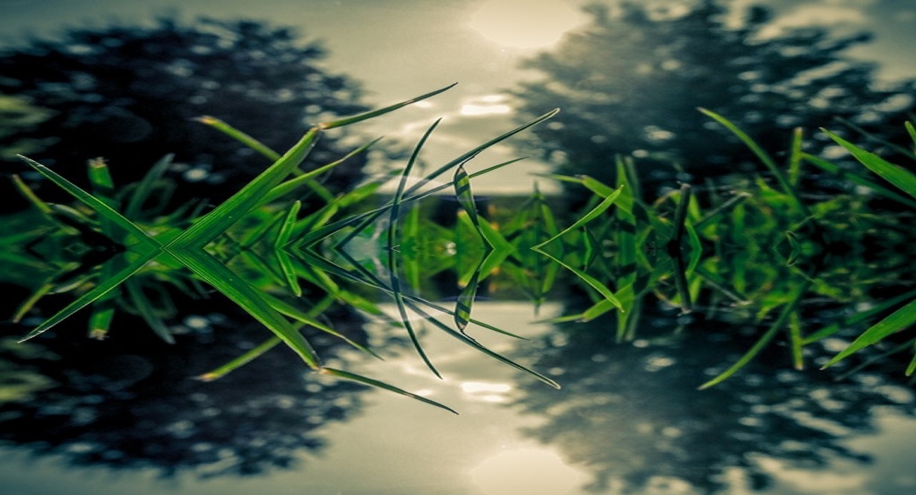 Background-top